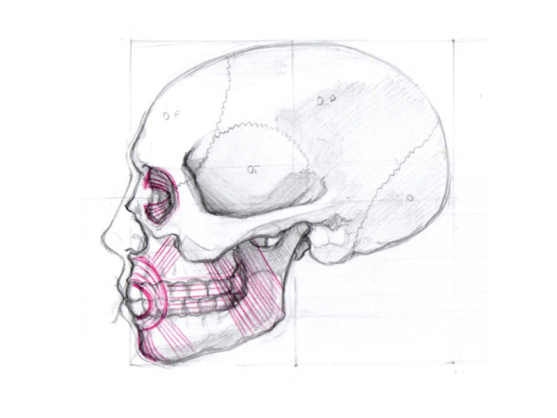 DISEGNO BASE