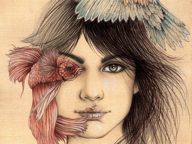 ILLUSTRAZIONE