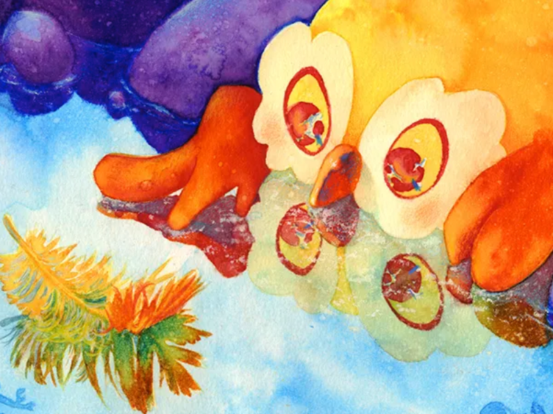 Illustrazione