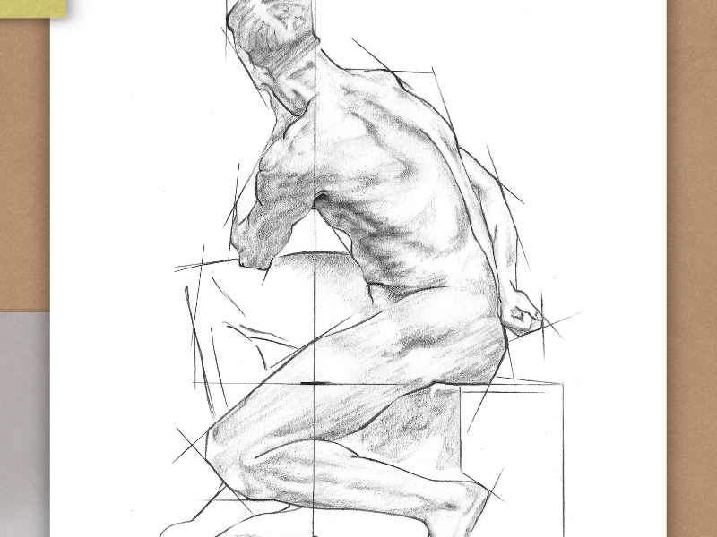 Disegno Base