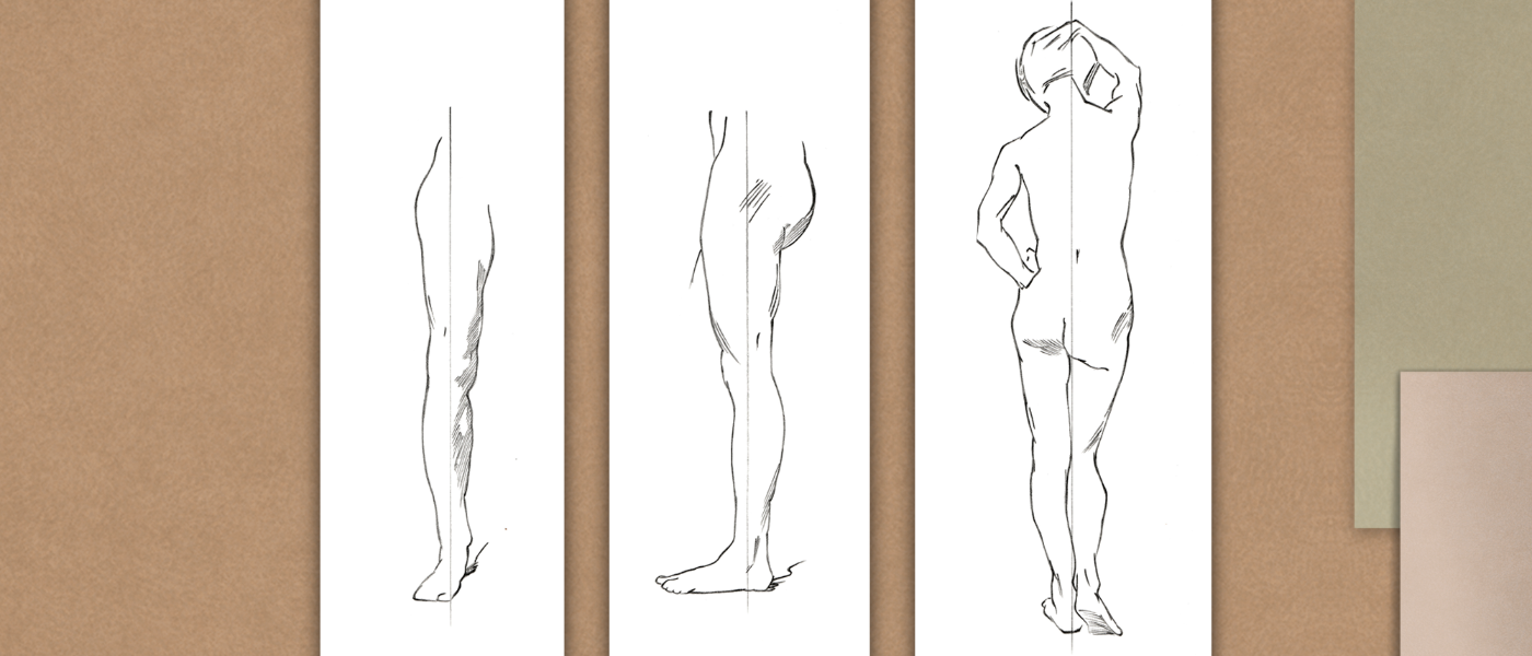 Disegno Base