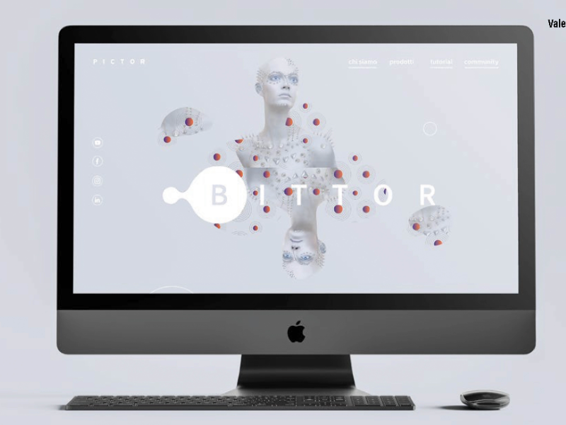 WEB DESIGN