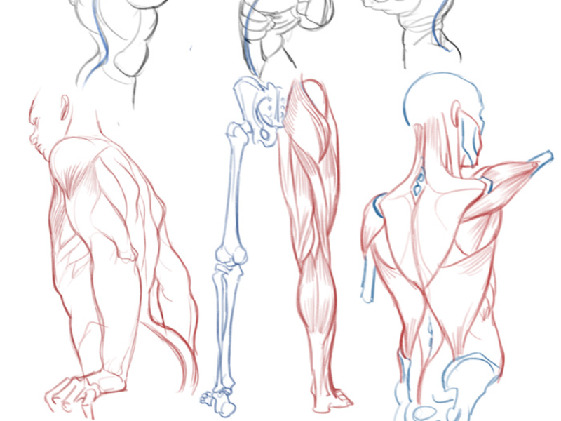 DISEGNO BASE
