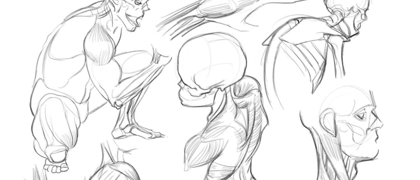 DISEGNO BASE