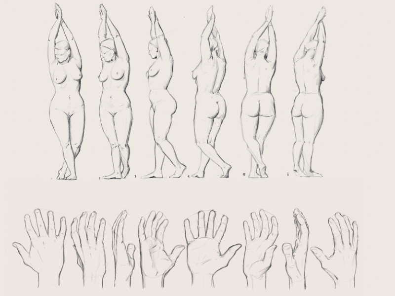DISEGNO BASE DIGITALE