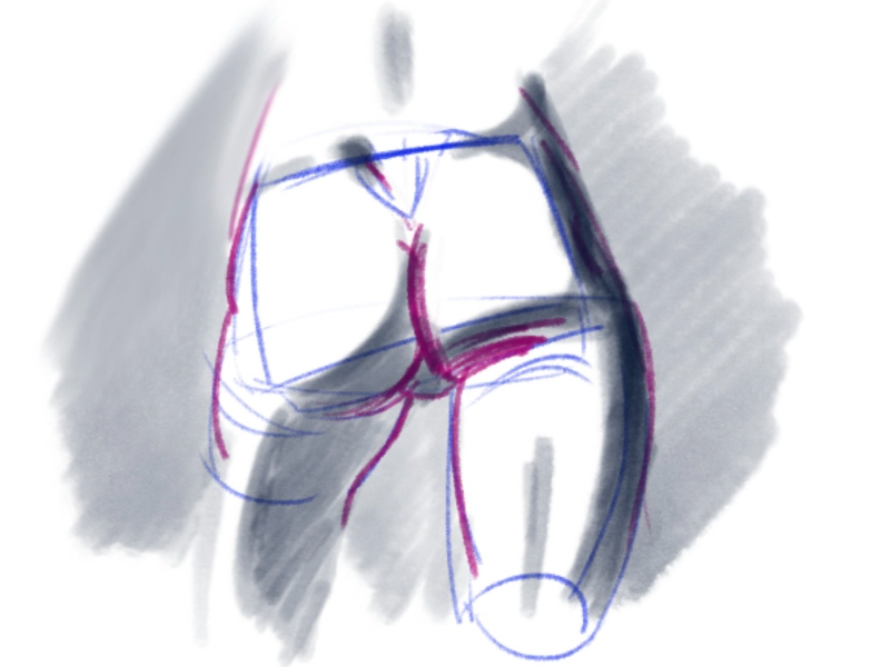 Anatomia Avanzata