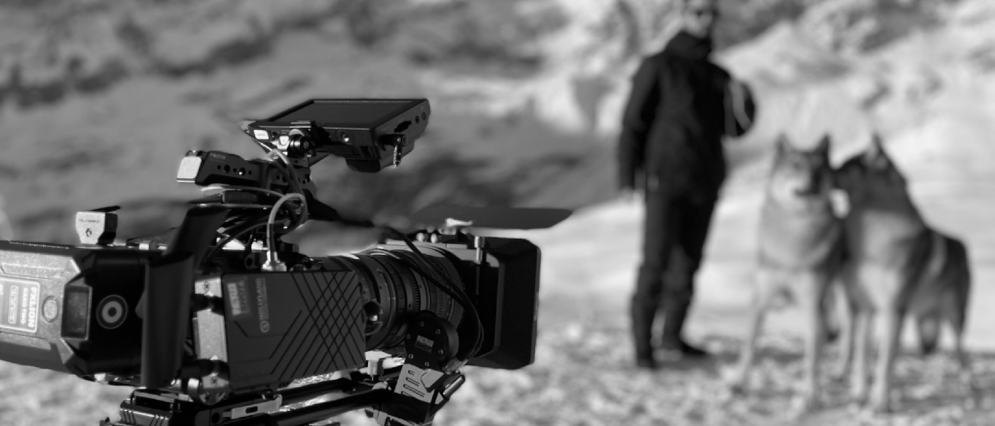 VIDEOMAKING ADVANCED