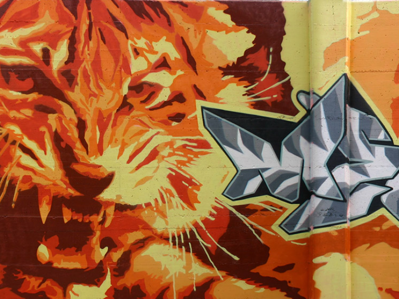 MURALES E STREET ART