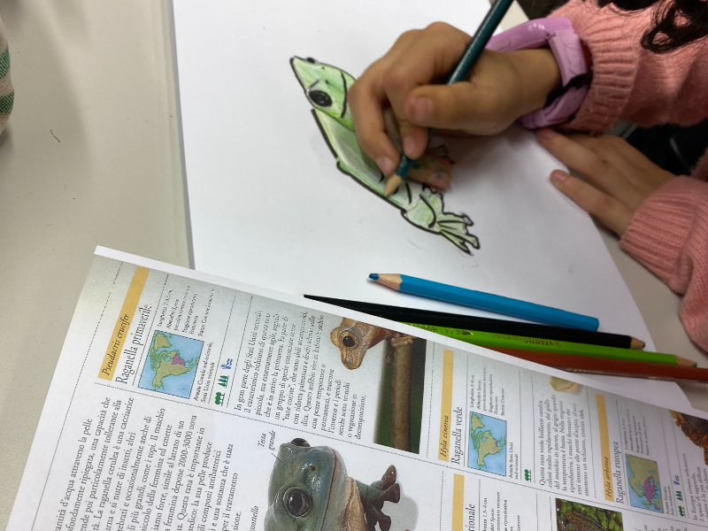 Disegno Base per bambini e ragazzi 