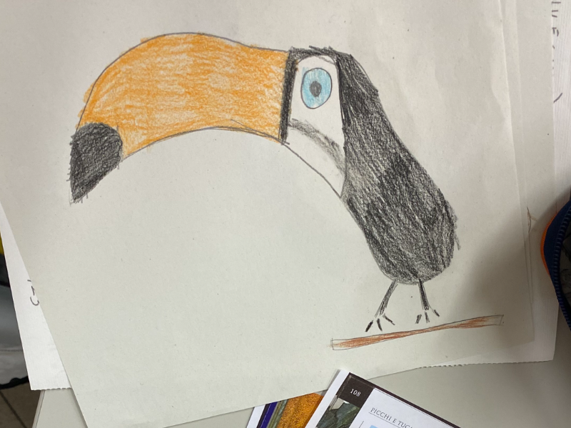 Disegno Base per bambini e ragazzi 
