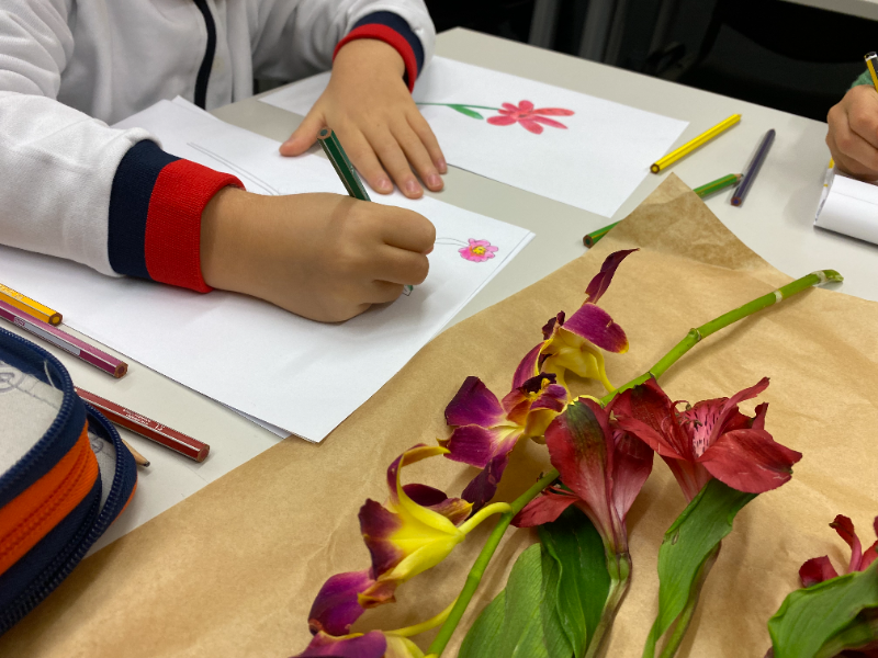 Disegno Base per bambini e ragazzi 