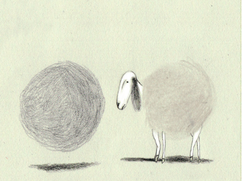 ILLUSTRAZIONE