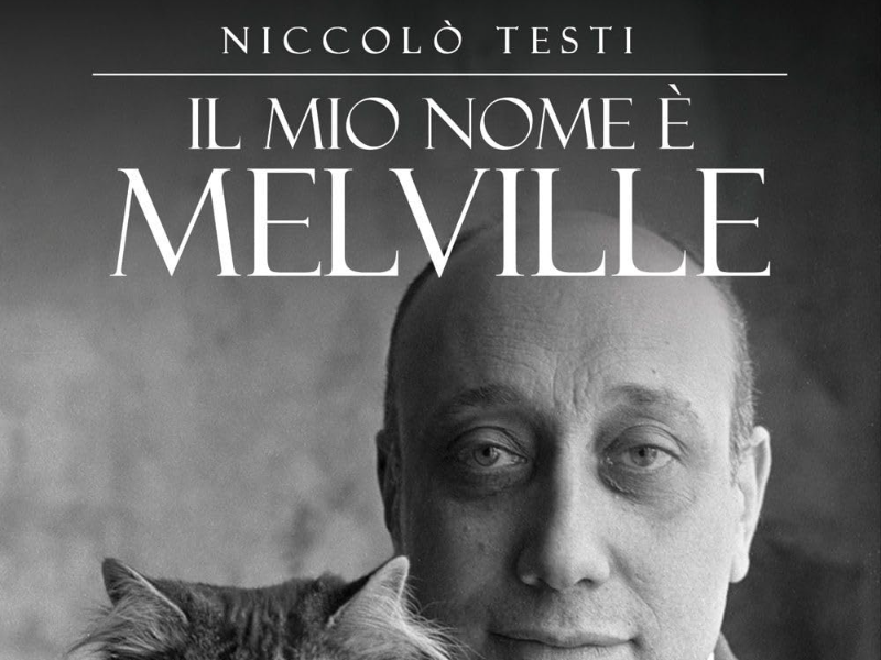 Lavoro di Niccolò Testi