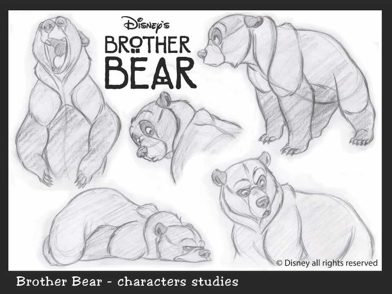 Lavoro di Andrea  Greppi 
