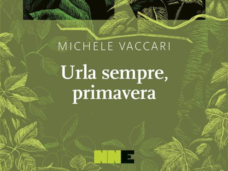 Lavoro di Michele Vaccari