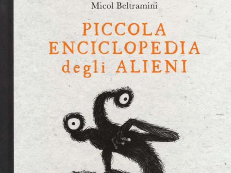 Lavoro di Micol Arianna Beltramini
